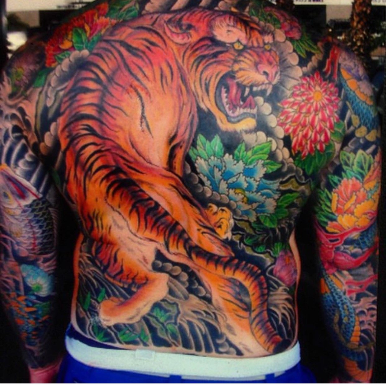 A finished colour tiger back piece by Kent Kelley